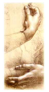 Hands (Leonardo)